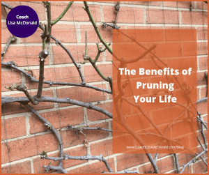 The Benefits of Pruning Your Life